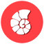 CoralApp logo