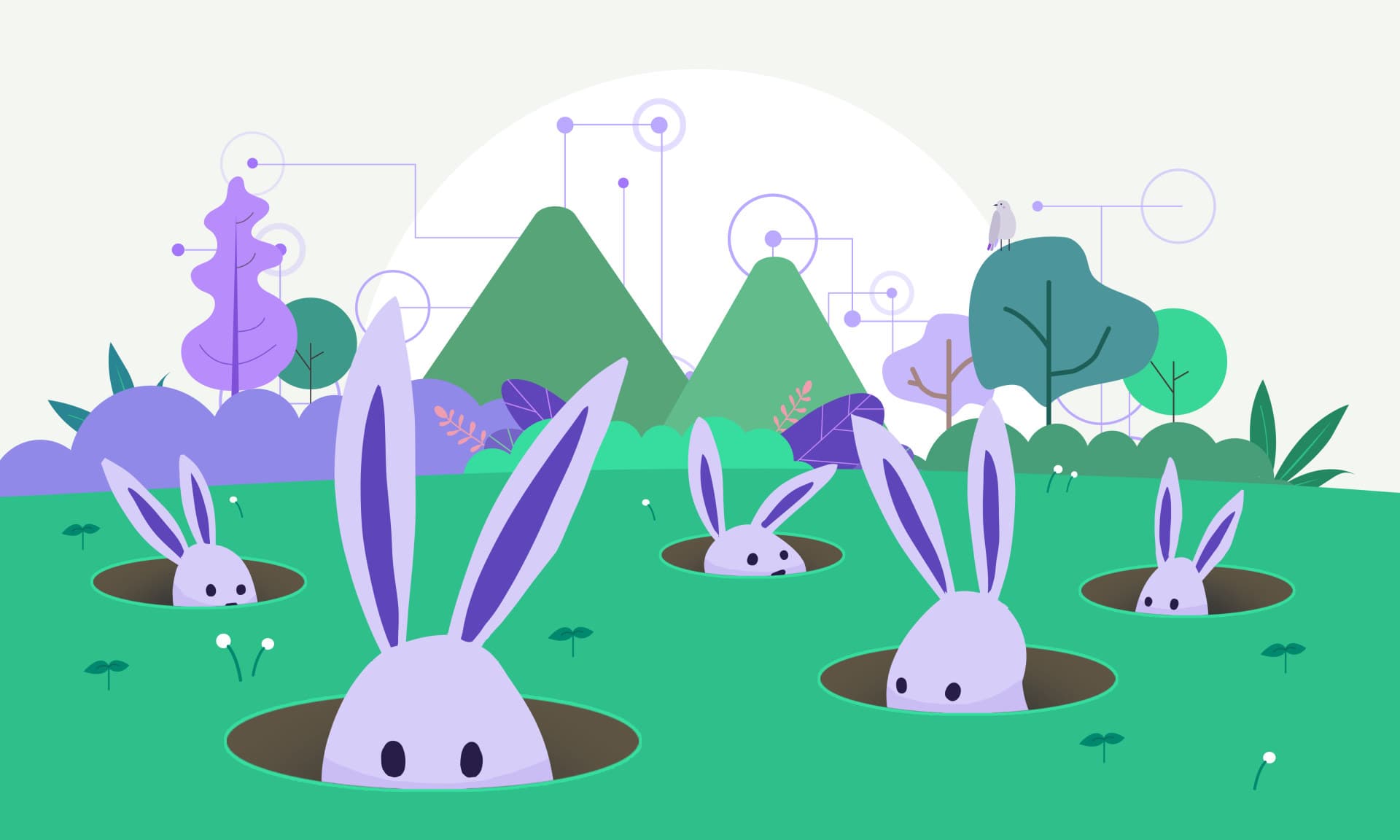 Orchid App Offers Enhanced Privacy Features for VPN Users