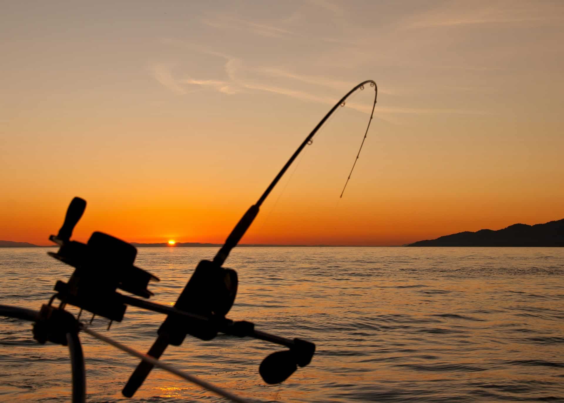 Cats Fishing: Status Network's Revolutionary Mobile Game