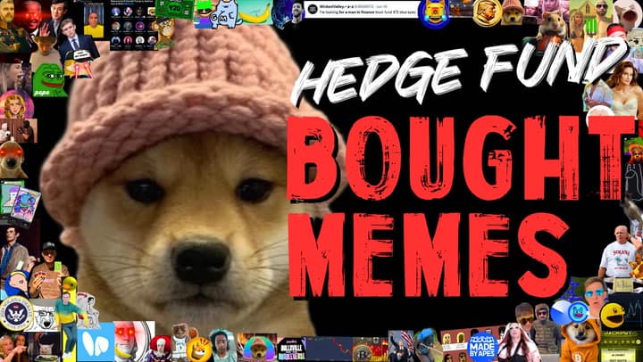 Crypto Hedge Fund Stratos Founder Discusses Investment Strategy in Meme Coins