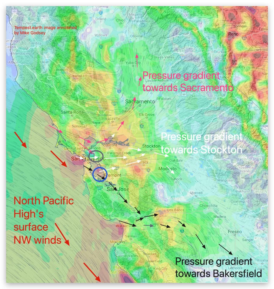 Weatherflow Unveils Enhanced Wind Forecasting Feature