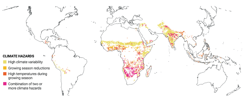 WeatherXM: Revolutionizing Weather Monitoring in Agriculture