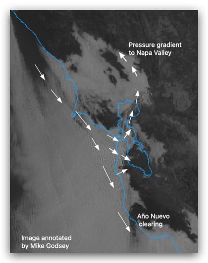 WeatherFlow Empowers Meteorologists in San Francisco Bay Area Forecasts