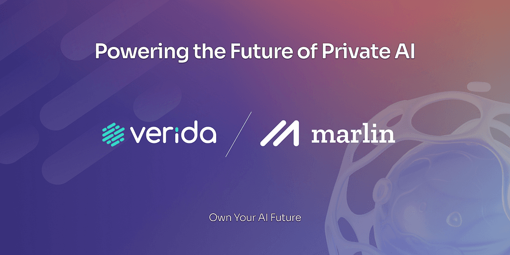 Verida-Network: Empowering Users with Private AI Assistants