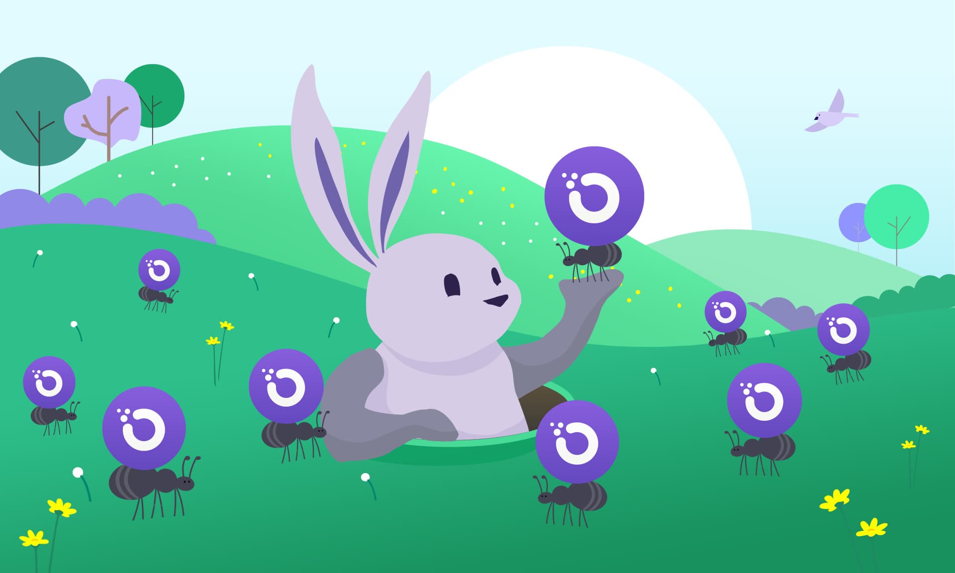 Orchid: A Privacy Network for Secure Internet Browsing