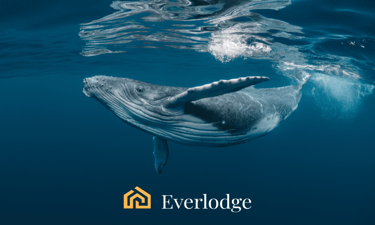 Theta, The Sandbox, and Everlodge Emerge as Top Picks for Whales in Q4 2023
