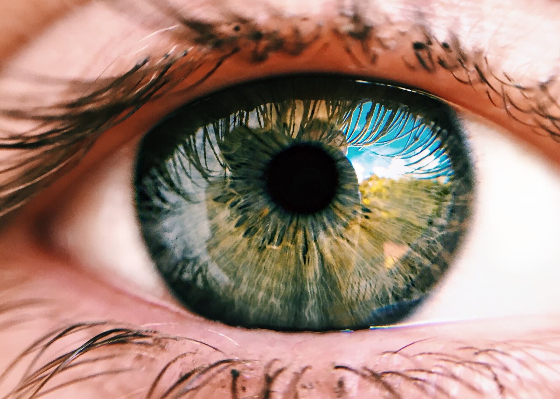 Elumicate: Unleashing the Potential of a Global Smart Vision Network