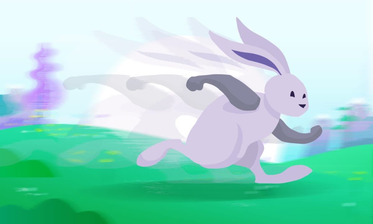 Orchid Enhances Speed and Usability with Recent Upgrades