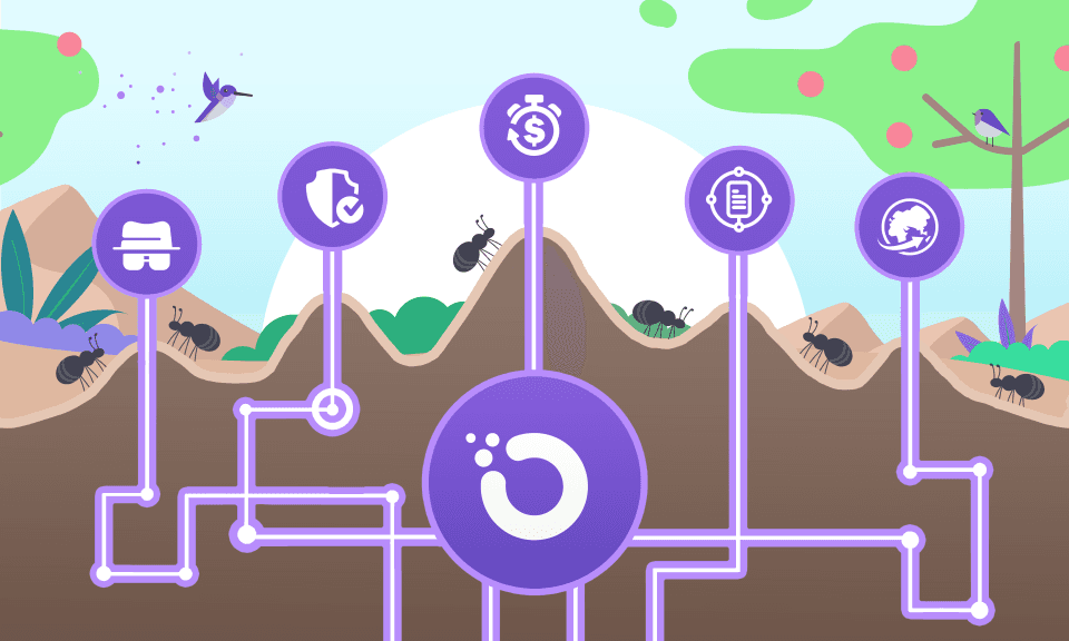 Exploring the Utility of OXT in Orchid: Enhancing User Experience and Security