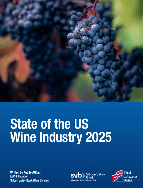 dVIN Labs: Transforming the Wine Industry Through Technological Innovation