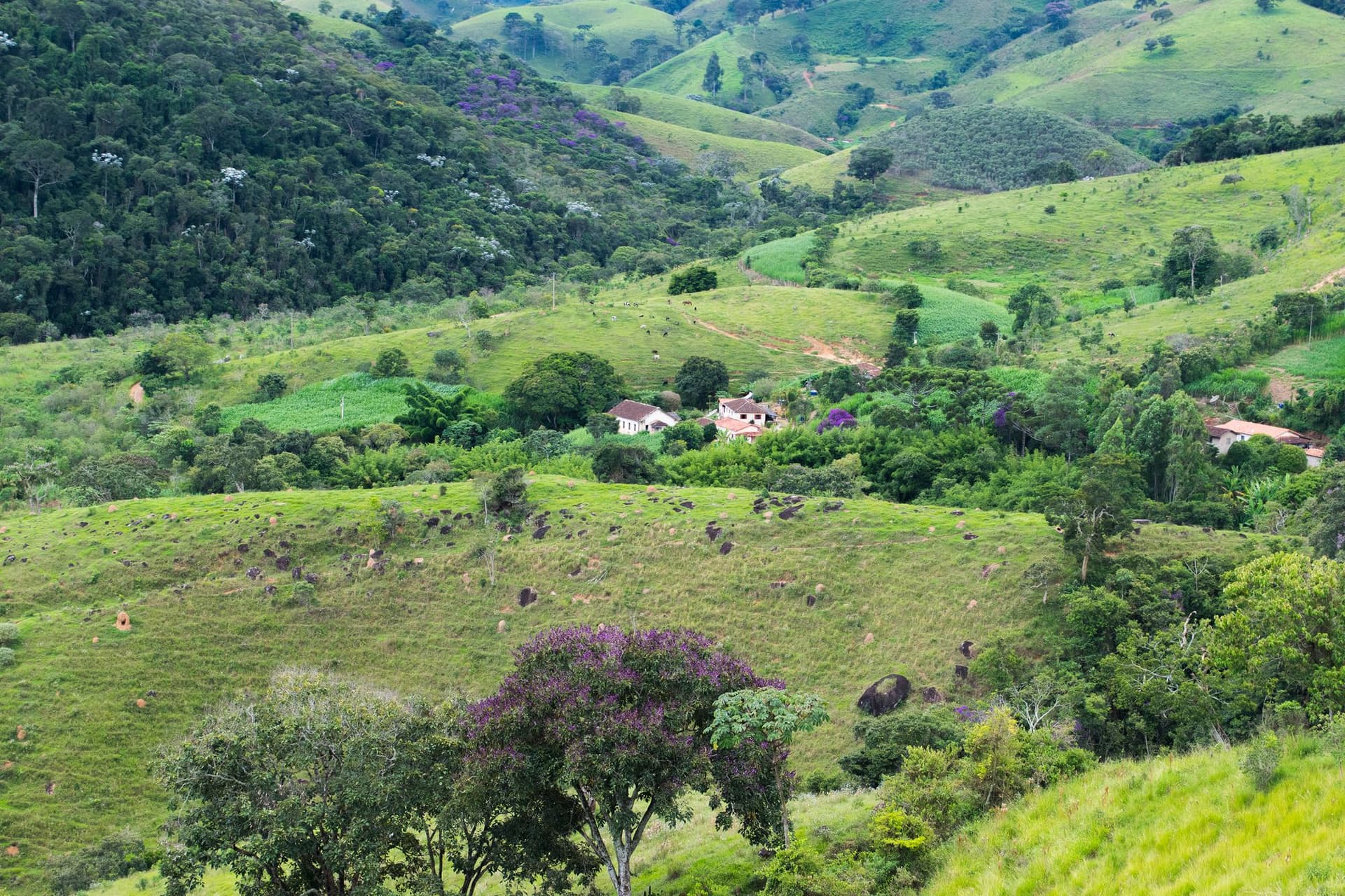 Althea Collaborates with Hub Advanced Networks to Expand Broadband Networks in Puerto Rico
