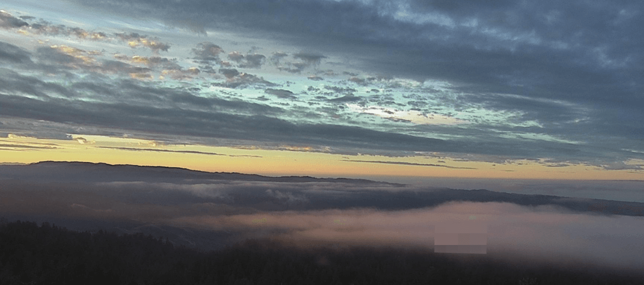 WeatherFlow: Forecasting Rain and Wind Patterns in the Bay Area