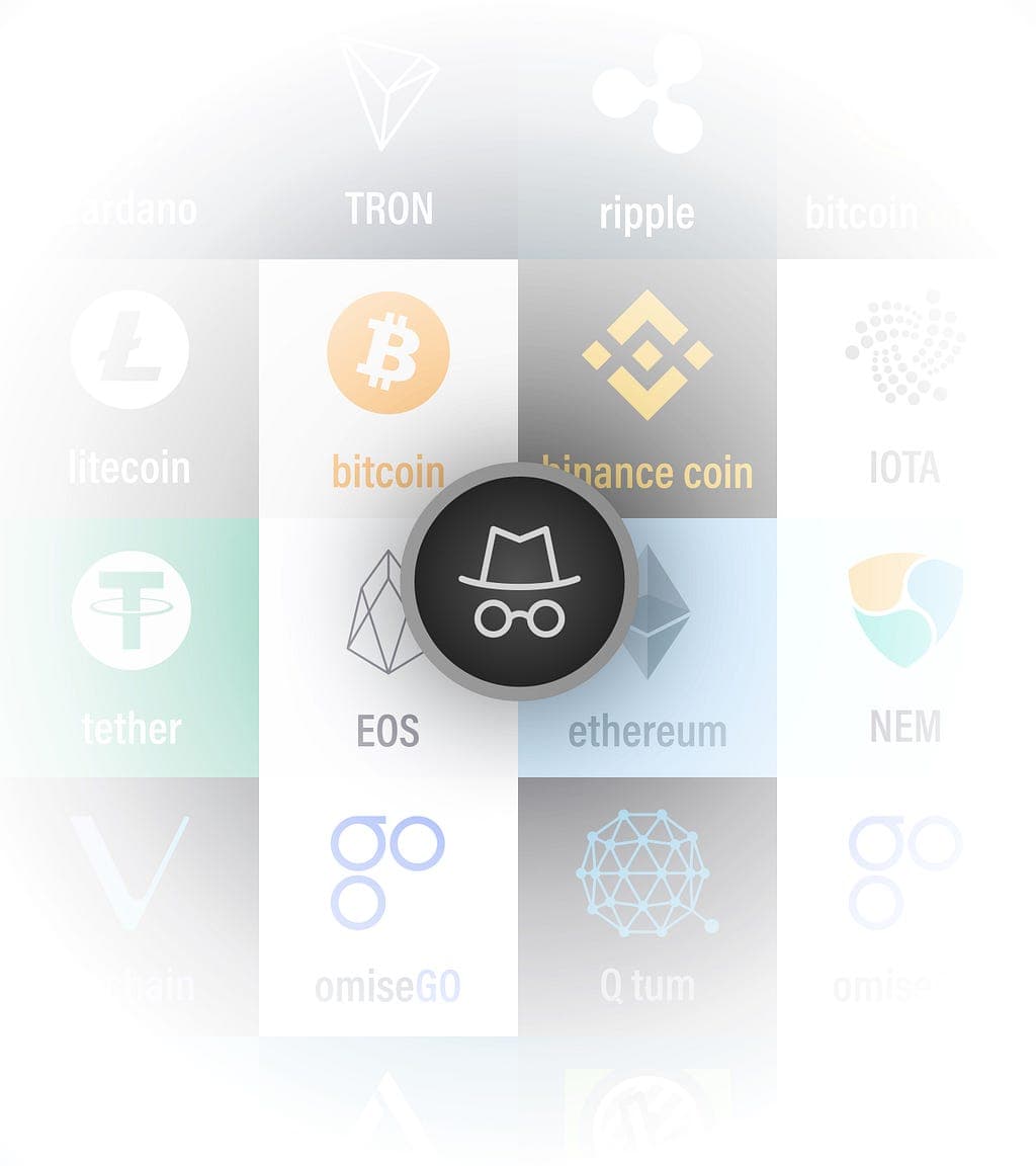 Incognito: Bringing Privacy to the Decentralized Web