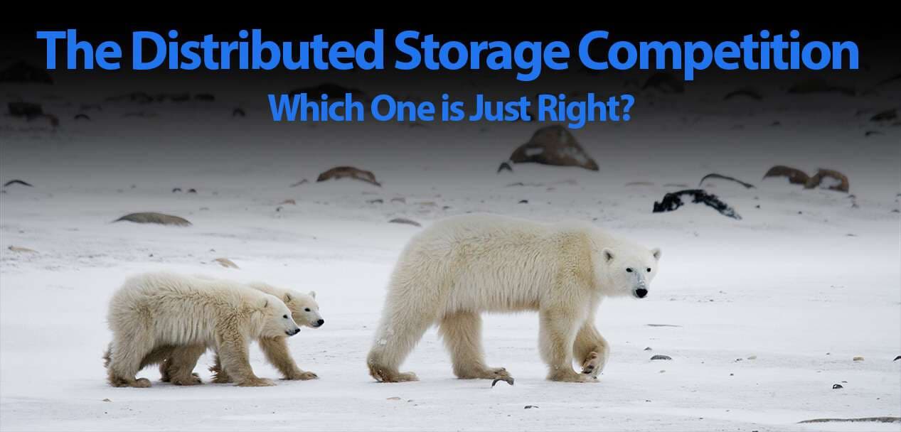 A Comparison of Distributed Storage Networks: ScPrime, Sia, Filecoin, Arweave, and Storj