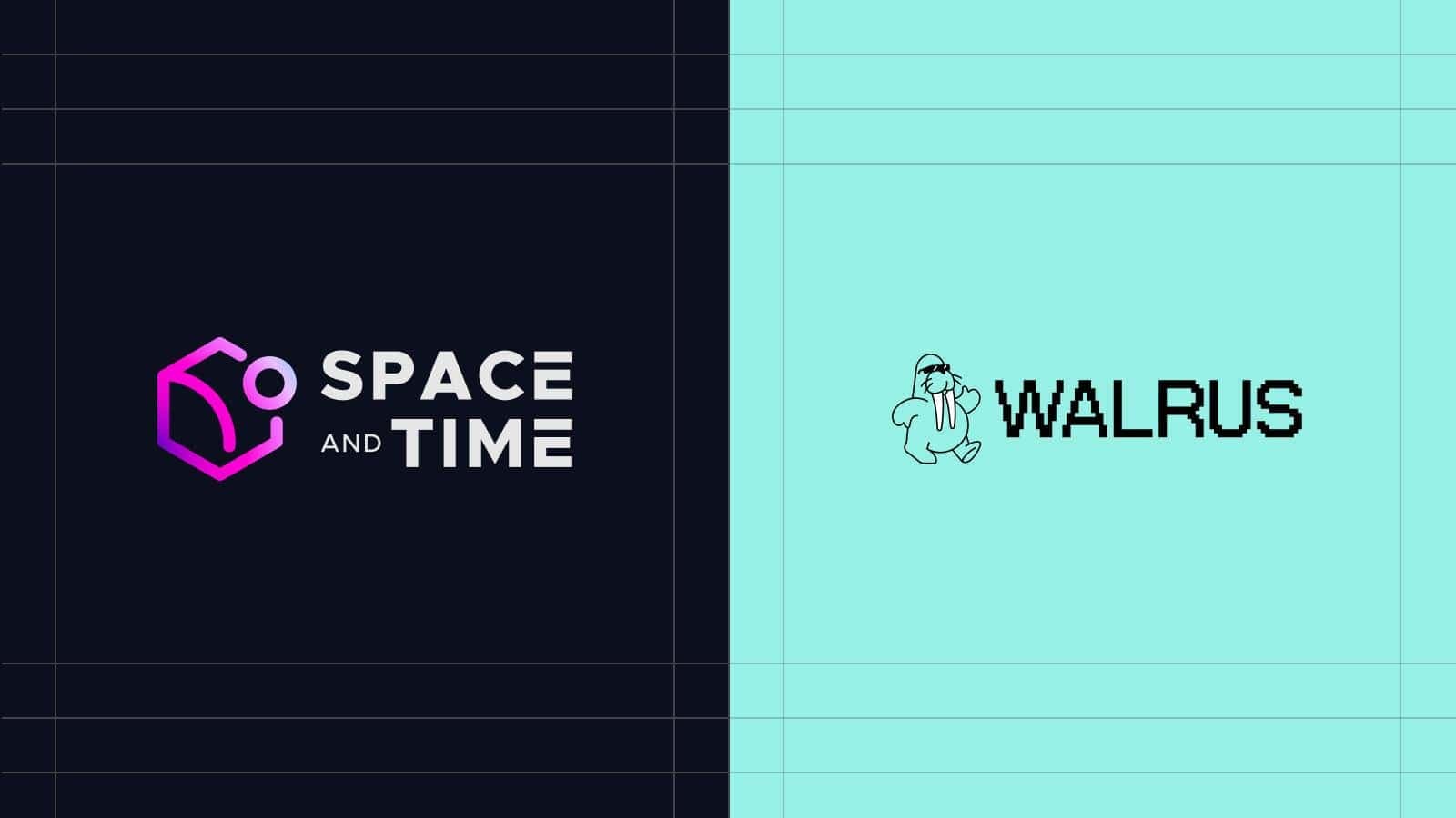 Space and Time Partners with Walrus to Launch Real-Time Insights Dashboard