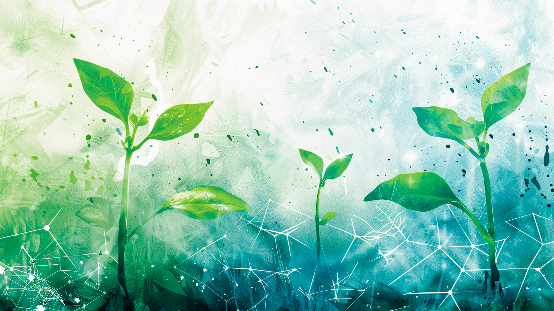 Chia Community Spotlights: Showcasing Innovation and Development