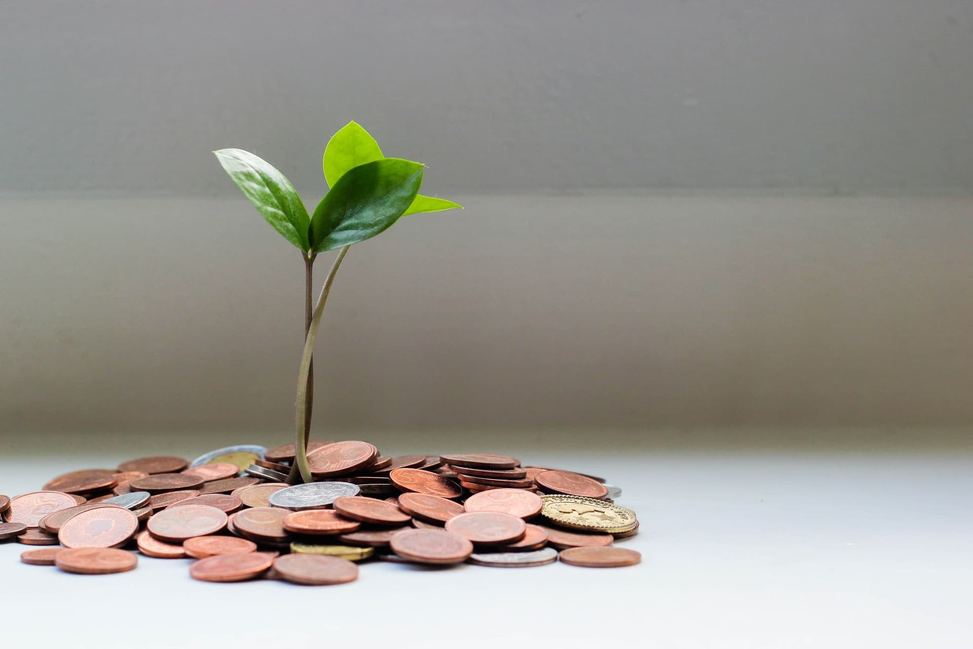 12 Independent Retailers Defying the Odds with Innovative Products and Services